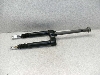 `v50/ CHAMP  tgtH[N 54V-3049
