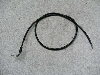 `Cm/ choinori  `[NC[ CZ41A-1482