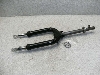 `Cm/ choinori  tgtH[N CZ41A-1482