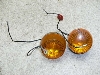 o[fB[50(6V)/ Birdie tgECJ[E FR50-3571
