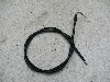`Cm/ choinori  `[NC[ CZ41A-1959
