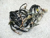 o[fB[50(6V)/ Birdie  Cn[lX FR50-8629