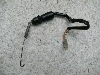 o[fB[50(6V)/ Birdie Au[LZT[ FR50-8629