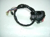 }WFXeB250/ MAJESTY nhXCb`E 4HC-0299