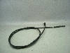 }WFXeB250/ MAJESTY Au[LC[ 4HC-0234